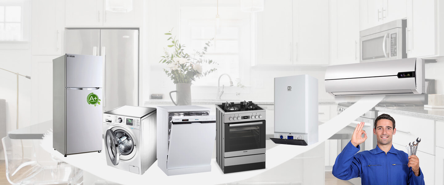 Efeler Windsor Servisi